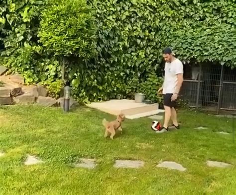 Lu On Twitter Father And Son Playing Ball This Makes My Day 100000x