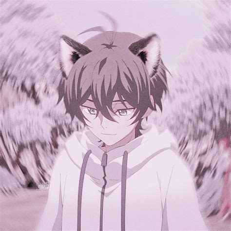 ℳⅈꪗꪖ 🍓₊˚༄ ೃ In 2021 Anime Cat Boy Anime Backgrounds
