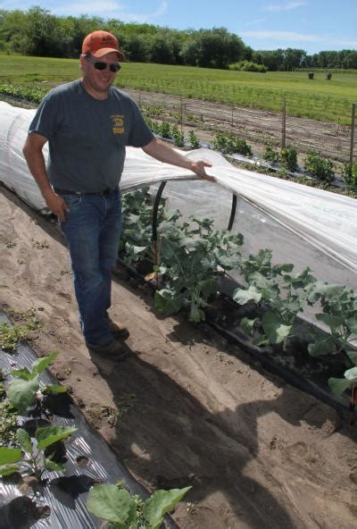Other examples are weeding, seed treatment, etc.; Organic Pest Control Methods