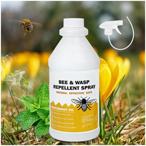 Buy Wasp and Hornet Killer Spray with Natural -Based Oils, Carpenter
