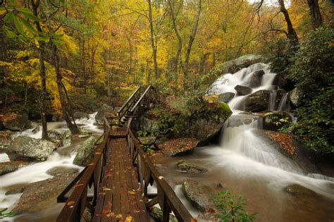 Best Places For Adventure At North Carolina State Parks North