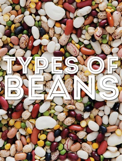 29 Types Of Beans From A To Z With Photos Live Eat Learn