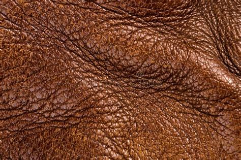Old Vintage Genuine Soft Brown Leather Texture Background Top Layer