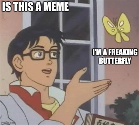 He Is A Butterfly Imgflip