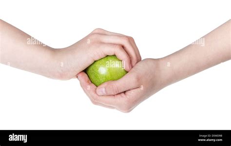 Female Teen Hand Holdings Green Apple Isolated On White Stock Photo