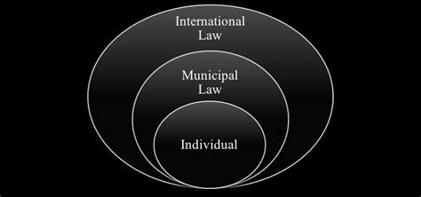 The Connection Between Municipal And International Law Under Monism