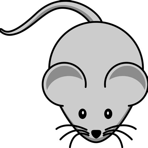 Free Mouse Animal Cliparts Download Free Mouse Animal Cliparts Png