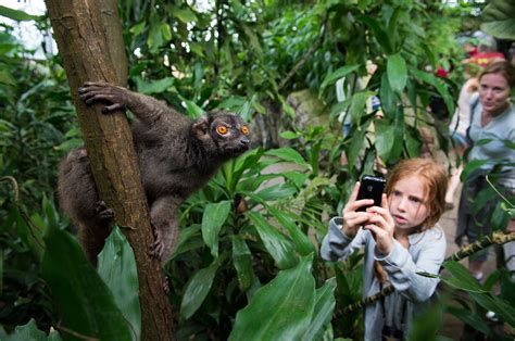 Given the tropical theme of randers regnskov and the fact that they are actively engaged in conservation. Oplevelsen: Randers Regnskov - Tropical Zoo