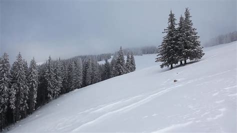 Stock Video Clip Of Beautiful Winter Landscape With Snow