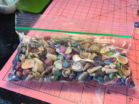 Found These Mini Seashells On Clearance At Hobby Lobby Last Week