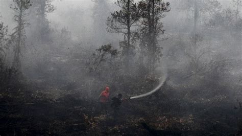 Hutan Riau Kembali Terbakar Siaga Darurat Diterapkan Bbc News Indonesia
