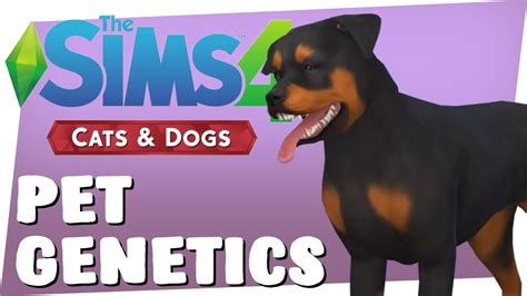 Sims 4 Cats And Dogs Pet Genetics Youtube