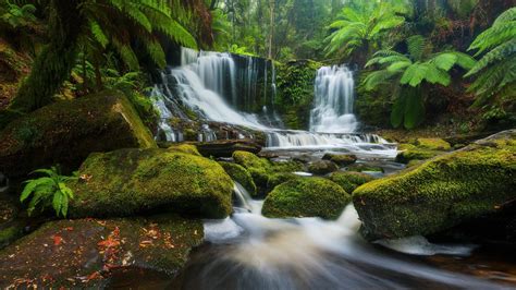 Horseshoe Falls Tasmania Waterfall Beautiful Nature Beautiful