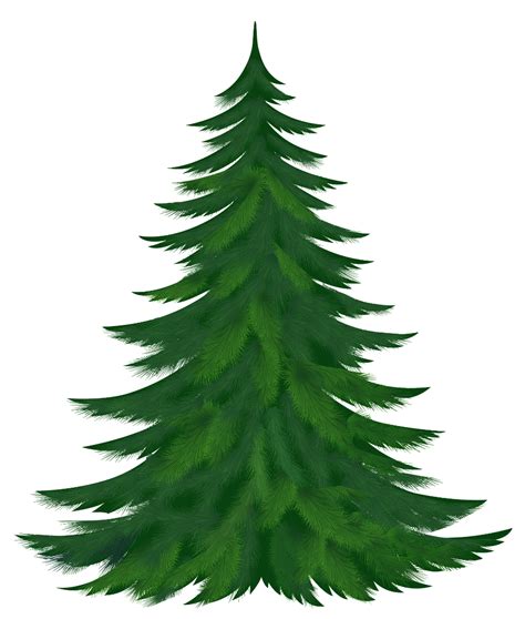 Download High Quality Tree Clipart Watercolor Christmas Transparent Png