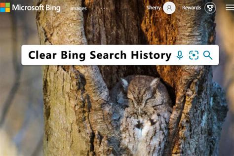 How To View And Clear Bing Search History Here Is A Guide