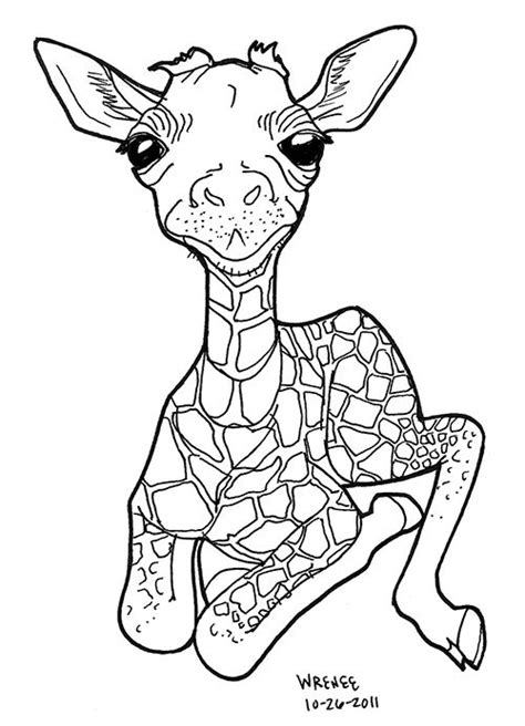 40 easy illustrated animal sketch drawing ideas. Giraffe coloring pages, Drawings, Animal templates