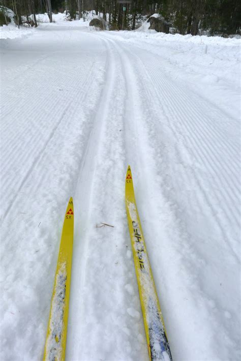 Nordic Heritage Center Offers Free Cross Country Skiing Trails In