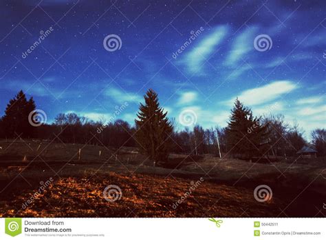 Starry Night Sky And Forest Landscape Stock Image Image
