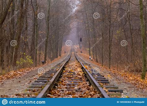 Railroad Single Track Through The Woods In Autumn Fall Landscape Stock