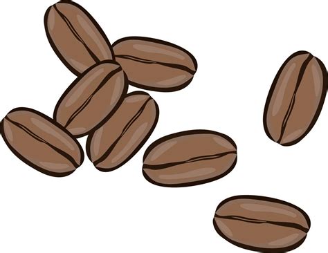 Whole Coffee Beans Illustration Vector On White Background 13664049