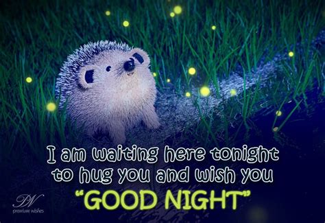 Hug You And Wish You Goodnight Premium Wishes
