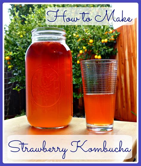 Strawberry Kombucha A Delicious Probiotic Beverage Whole Natural Life