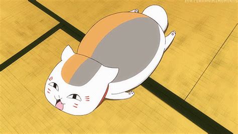 Nyanko Sensei Anime Animals Natsume Yūjin Chō Anime Love
