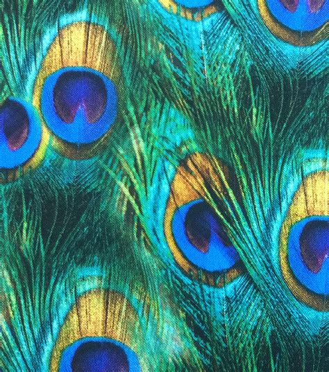 Novelty Cotton Photo Real Fabric Peacock Feathers Joann Peacock Feathers Peacock Peacock