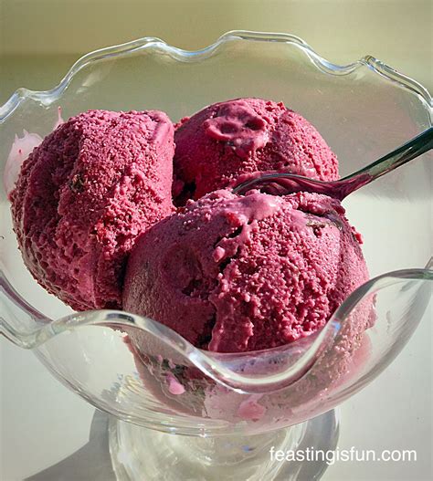Blackberry Chocolate Chunk Ice Cream Feasting Is Fun Best Ice Cream Maker Ice Cream Ice