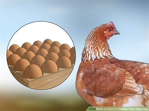 In this issue, top 10 of malaysia takes a brief look at the top ten inspiring agricultural products companies (listed in bursa malaysia and presented in no particular order) that have emerged as led by dato' alex ding, dbe is in the business of poultry farming and operates principally in malaysia. How to Start a Chicken Farm Business (with Pictures) - wikiHow
