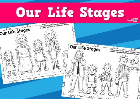 Human Life Stages Worksheet Teacher Resources And Classroom Games Teach This
