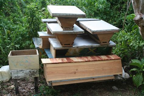 Why not just keep bees in the 'normal' way? Jamaica's Honey: Internship in Top-Bar Beekeeping: Day 36 ...