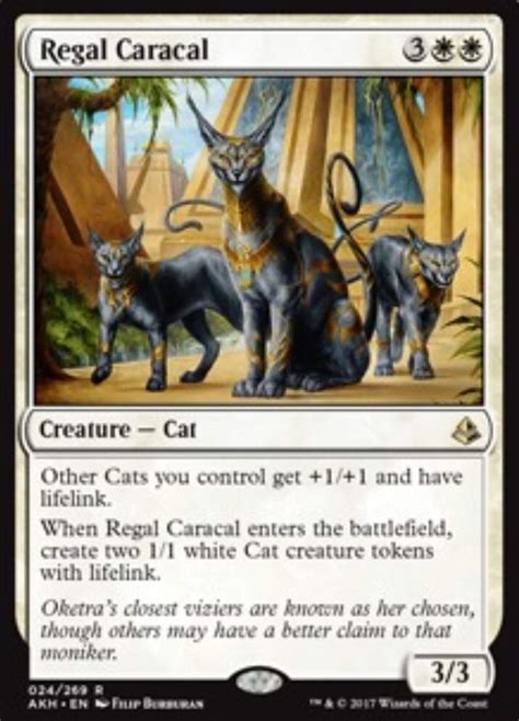Maybe you would like to learn more about one of these? New Brew: GW Cats Modern | MTG Amino