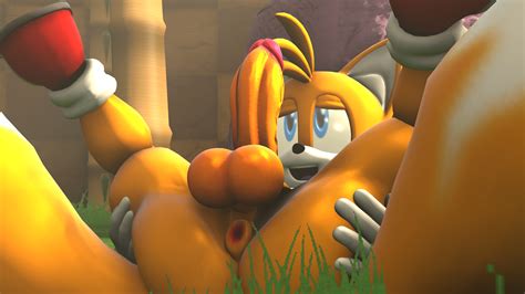 Rule 34 3d Furry Male Only Sonic Series Tagme Tails 3879216