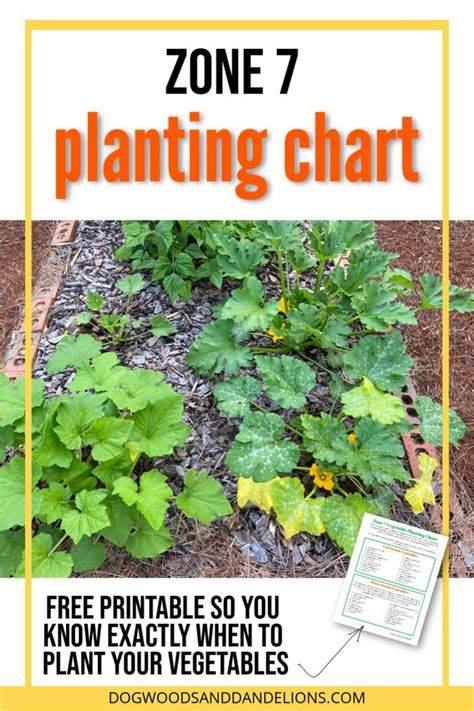 Zone 7 Vegetable Planting Chart Planting Vegetables Fall Garden