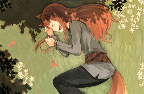 Sleeping Holo Spice And Wolf Wallpaper 4200x2749 149452