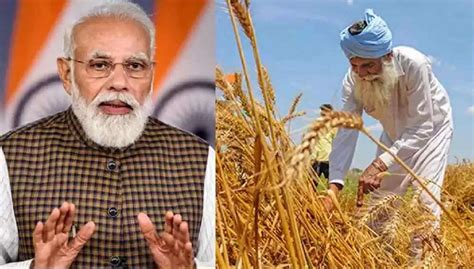 Ban On Wheat Export गेहूं के निर्यात पर भारत ने तुरंत लगाई रोक जानिए
