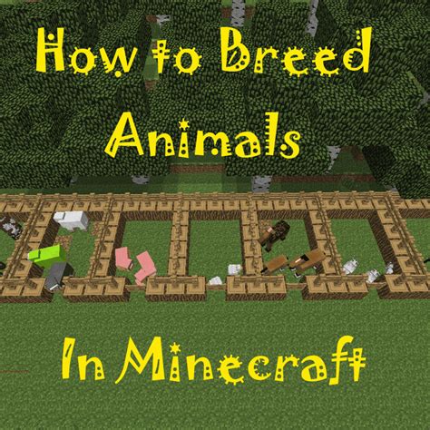 How To Feed Cows In Minecraft Can Be Tamed By Feeding Them Seeds
