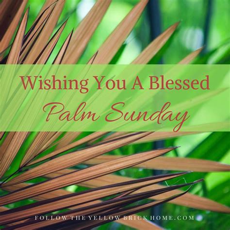 Wishing You A Blessed Palm Sunday Pictures Photos And Images For