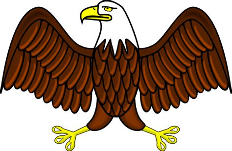 American Eagle Cliparts Beautiful Images Of The National Symbol
