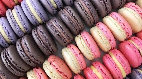 French Macarons Ordering Policy And Faq Le Bon Macaron