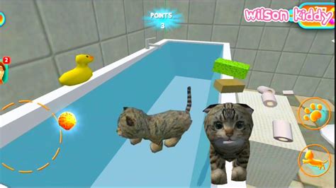 Game Kucing Lucu Cat Simulator Kucing Lucu Youtube