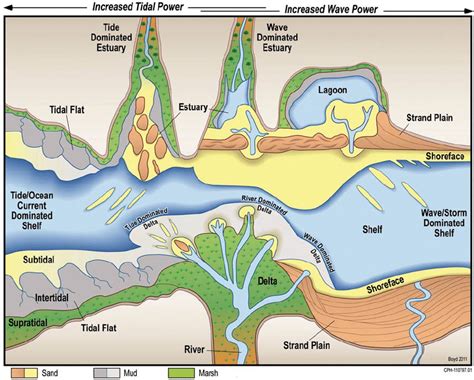 Range Of Common Shallow Water Depositional Systems In A Coastal