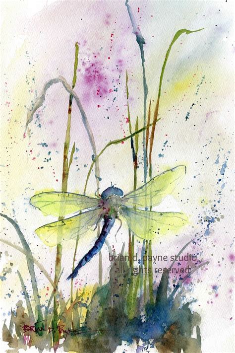 Jewel Toned Dragonfly Dragonfly Painting Watercolor Flowers