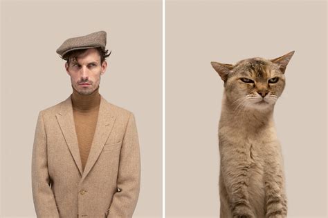 You To Find the Purrfect Match of Cats and Their Human Look-Alikes