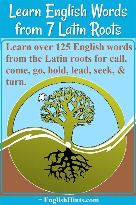 Important Latin Roots Latin Roots Learn English Words Learn English