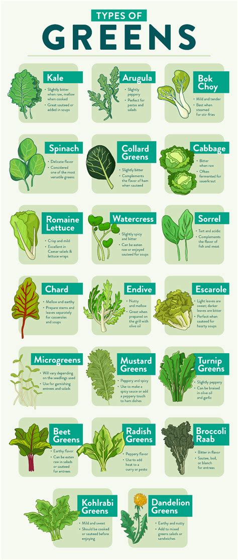 Different Types Of Greens Leaf Vegetable Greens Nutrition Recipes
