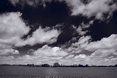 Midwest Corn Field Bw Photograph By Steve Gadomski Fine Art America