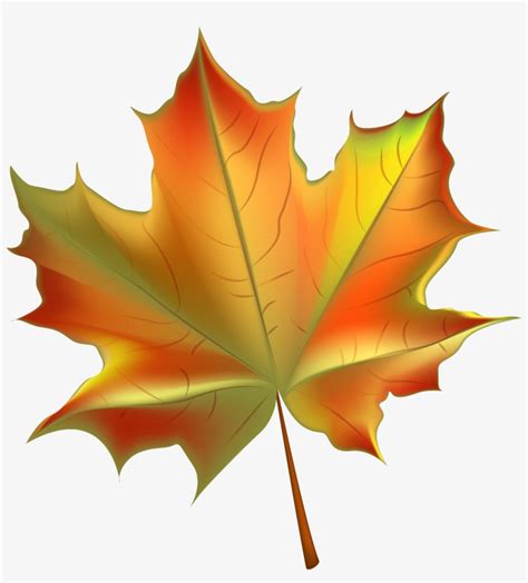 Beautiful Autumn Leaf Transparent Png Clip Art Image Autumn Leaf