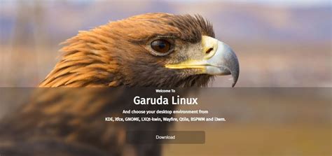 Garuda Linux Website M E T A V E R S E